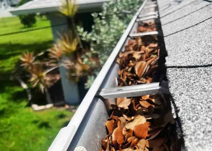 Flat Rock gutter cleaning home page